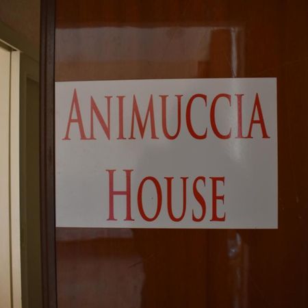 Casa Vacanze "Animuccia House" Roma Exterior foto
