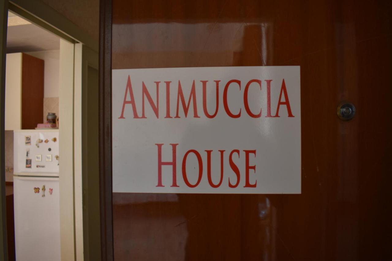 Casa Vacanze "Animuccia House" Roma Exterior foto